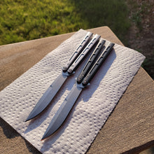 Load image into Gallery viewer, 101 V1 - Weehawk